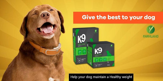 K9 Puppy Starter Food 5Kg (Farmland) – Healthy Growth Nutrition for Puppies